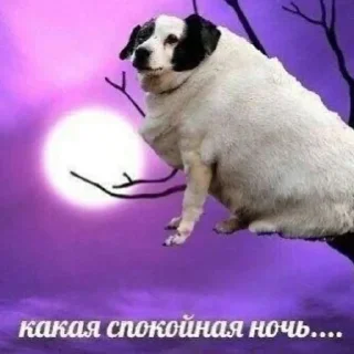 😊 emoji не бейте арти Telegram sticker 19 of 56
