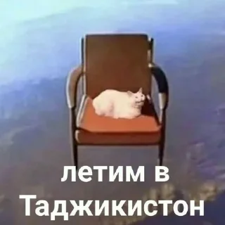 😁 emoji не бейте арти Telegram sticker 12 of 56