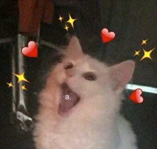 😍 emoji котики Telegram sticker 19 of 72