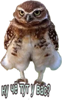🧐 emoji sueta Telegram sticker 16 of 38