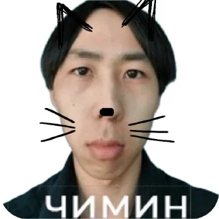 🖼 emoji фан клуб чимина Telegram sticker 9 of 22
