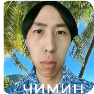 🙂 emoji фан клуб чимина Telegram sticker 18 of 22