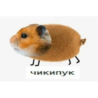 🐀 emoji мемный от @ggstick Telegram sticker 18 of 50