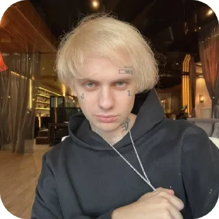 😎 emoji ксюша стрыкало Telegram sticker 18 of 63