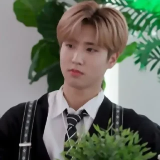 🧇 emoji ✦ ָ ֙⋆ jisung by @paradoxstickers Telegram sticker 22 of 25