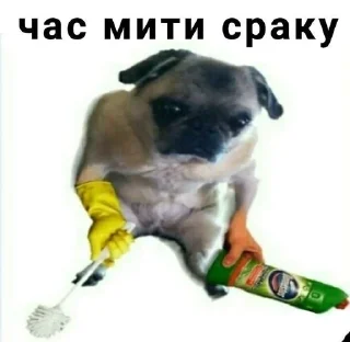 🌟 emoji ромашка ❤️‍🩹 Telegram sticker 11 of 95