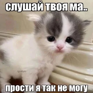 🌟 emoji социальная смерть Telegram sticker 14 of 37