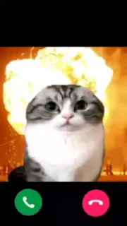 🌟 emoji Жоски комар 250 :: Грибы Telegram sticker 24 of 26