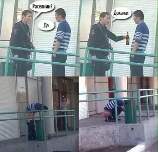 Sticker from Поросяча Боль