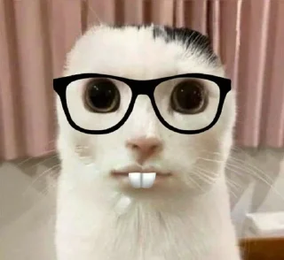 🌟 emoji Аааа3 Telegram sticker 13 of 94