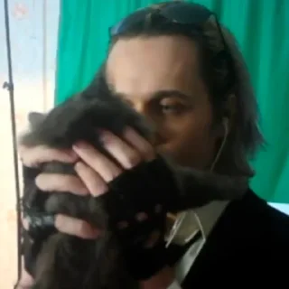 😺 emoji 50 оттенков демонтажа Telegram sticker 20 of 68