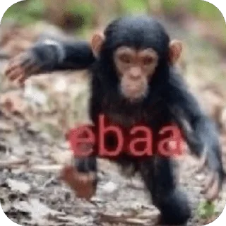 😛 emoji КАЗАХСТАН УГРОЖАЕТ НАМ БОМБАРД Telegram sticker 13 of 23