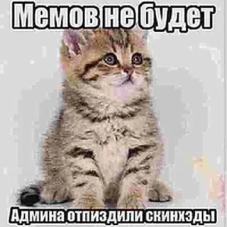 🌟 emoji ПИЗДЕЦ БЛЯТЬ Telegram sticker 23 of 74