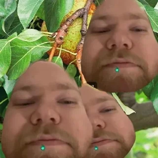 😃 emoji татыржа Telegram sticker 8 of 119