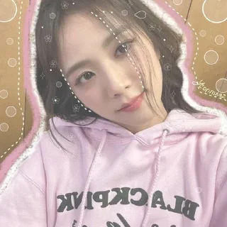 ✨ emoji K-pop🦫🦔🦦 Telegram sticker 1 of 31