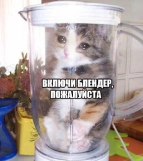 😢 emoji Чё это… Telegram sticker 23 of 42