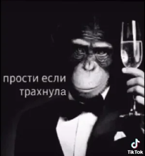 🐵 emoji Картинки для тп-шек Telegram sticker 8 of 120
