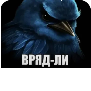 🐦 emoji Врядли Telegram sticker 6 of 27