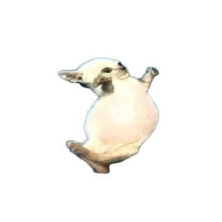 🖼 emoji ебашу героин @Bvostorge Telegram sticker 4 of 92