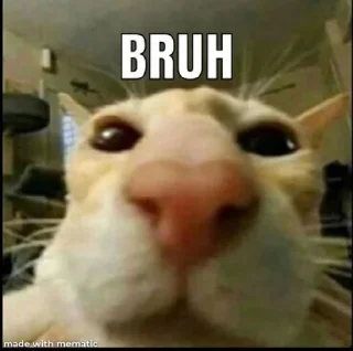 😸 emoji Bruh Moment Telegram sticker 15 of 69