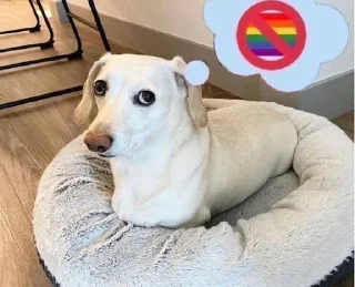 🐶 emoji homophobic dog Telegram sticker 21 of 34