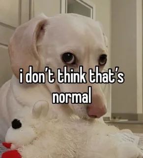 Sticker from homophobic dog