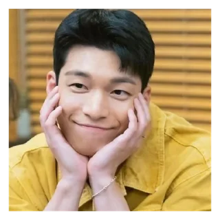 🟥 emoji wi ha joon / westternn Telegram sticker 17 of 61