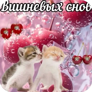 ❤ emoji че за айви Telegram sticker 6 of 10