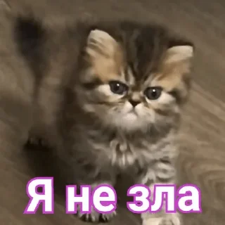 Sticker from Хуйлуша