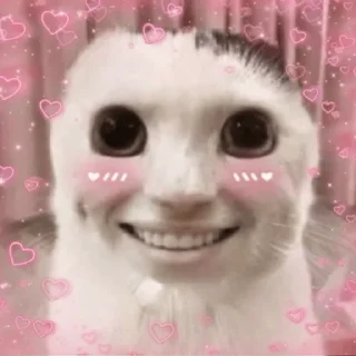 🥰 emoji мемсы Telegram sticker 12 of 22
