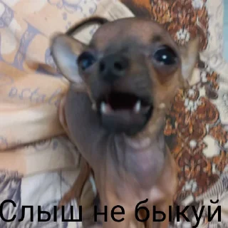 Sticker from Бебрик Юми