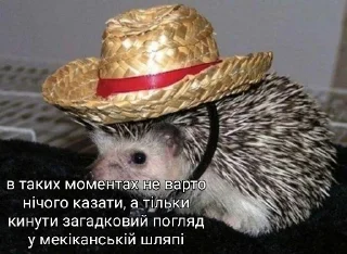 🤠 emoji сцюпер/дякую Telegram sticker 11 of 93