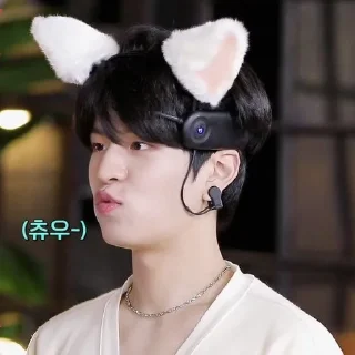 Sticker from skz