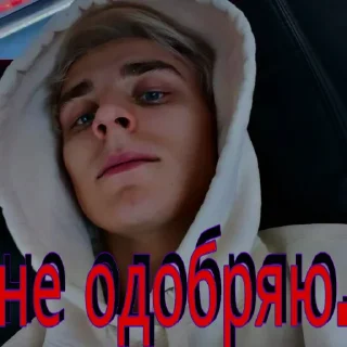 👎 emoji владик Telegram sticker 18 of 66
