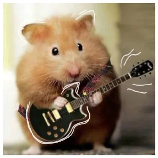 🎸 emoji ꒰ хомячки ꒱ @plusikradom Telegram sticker 9 of 40