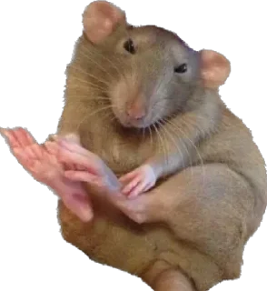 💅 emoji 9мыш и его друзья@hisad Telegram sticker 12 of 20