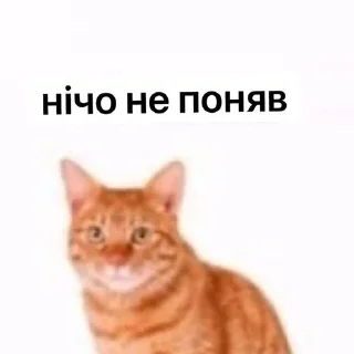 🌟 emoji ✨емейзінг✨ Telegram sticker 7 of 54