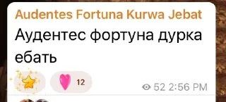 🤪 emoji Audentes Fortuna Kurwa Jebat Telegram sticker 2 of 44