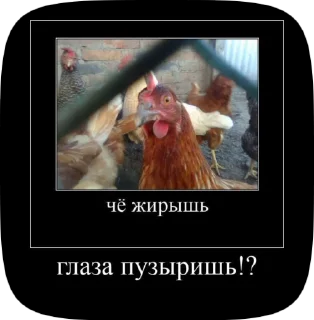 Sticker from Салам алейкум