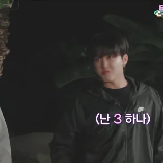 🐷 emoji Changbin @keryohelp Telegram sticker 9 of 33
