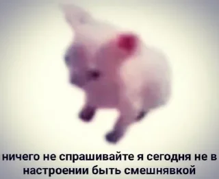 💋 emoji МОЙ ПАК СУКА Telegram sticker 12 of 54