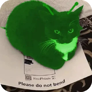 🐱 emoji пришленцы Telegram sticker 20 of 65