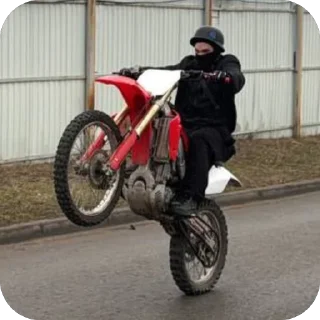 🫥 emoji Жуки Street :: by Kuzimaka Telegram sticker 9 of 45