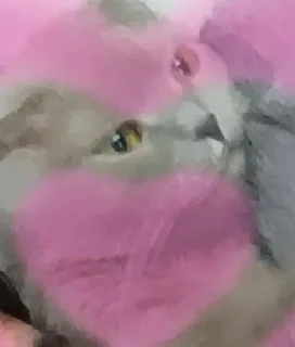 💓 emoji Лунка Telegram sticker 14 of 21