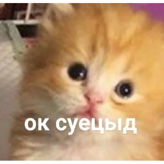 🥲 emoji няняня Telegram sticker 10 of 35