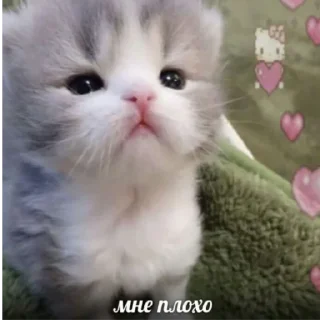 😔 emoji няняня Telegram sticker 8 of 35