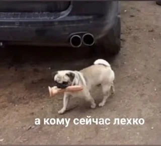 🌟 emoji (‾◡◝) удаленка Telegram sticker 14 of 93