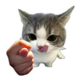 🍗 emoji qeueioph Telegram sticker 16 of 30