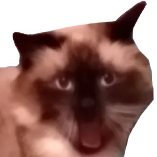 Sticker from лютик