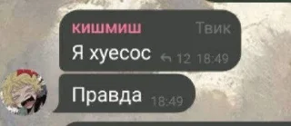 Sticker from твик пиздит